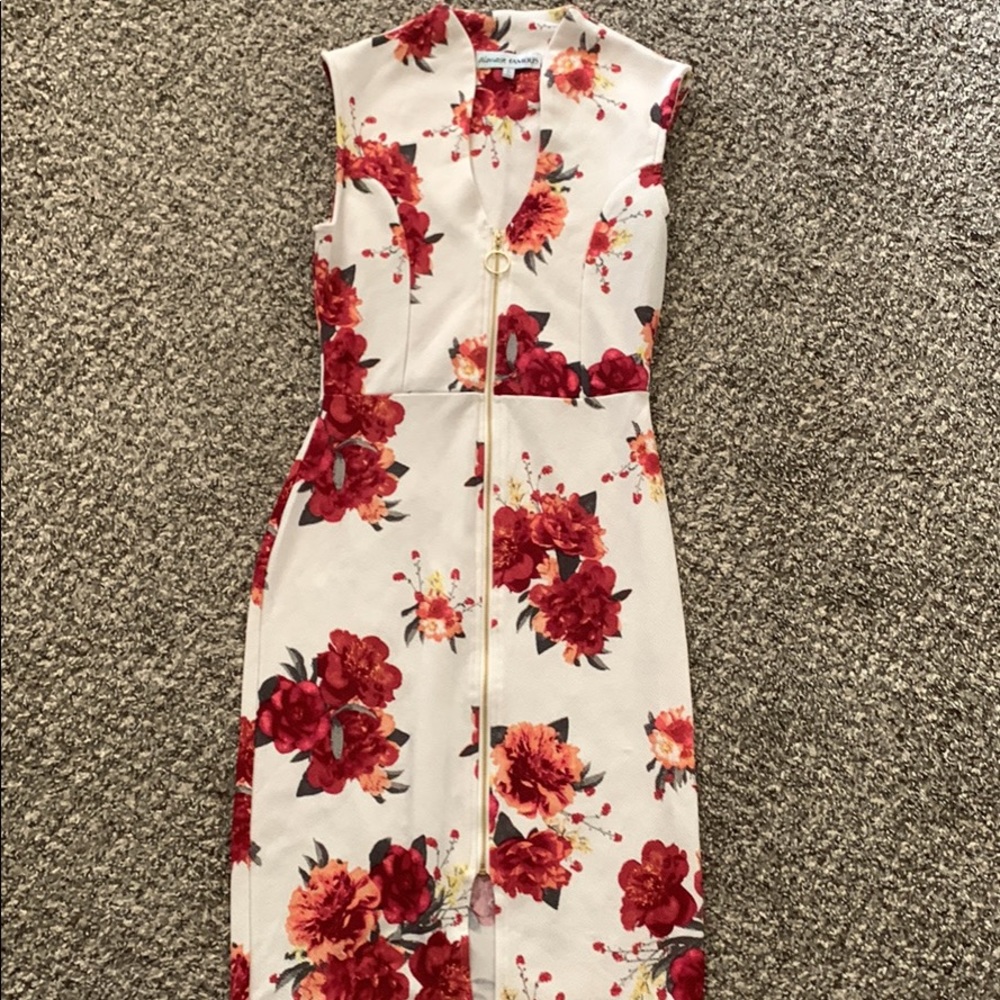Almost Famous Floral Dress